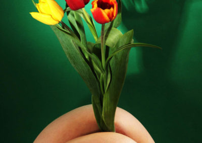 tulipani1